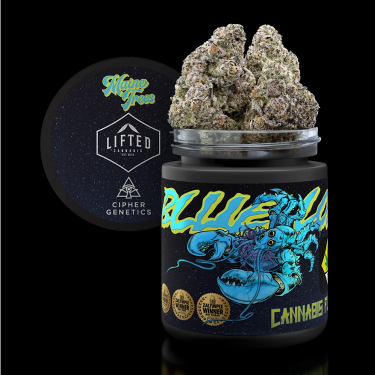 Lifted Cannabis Co Blue Lobster 3.5g (I) Lifted Small Batch