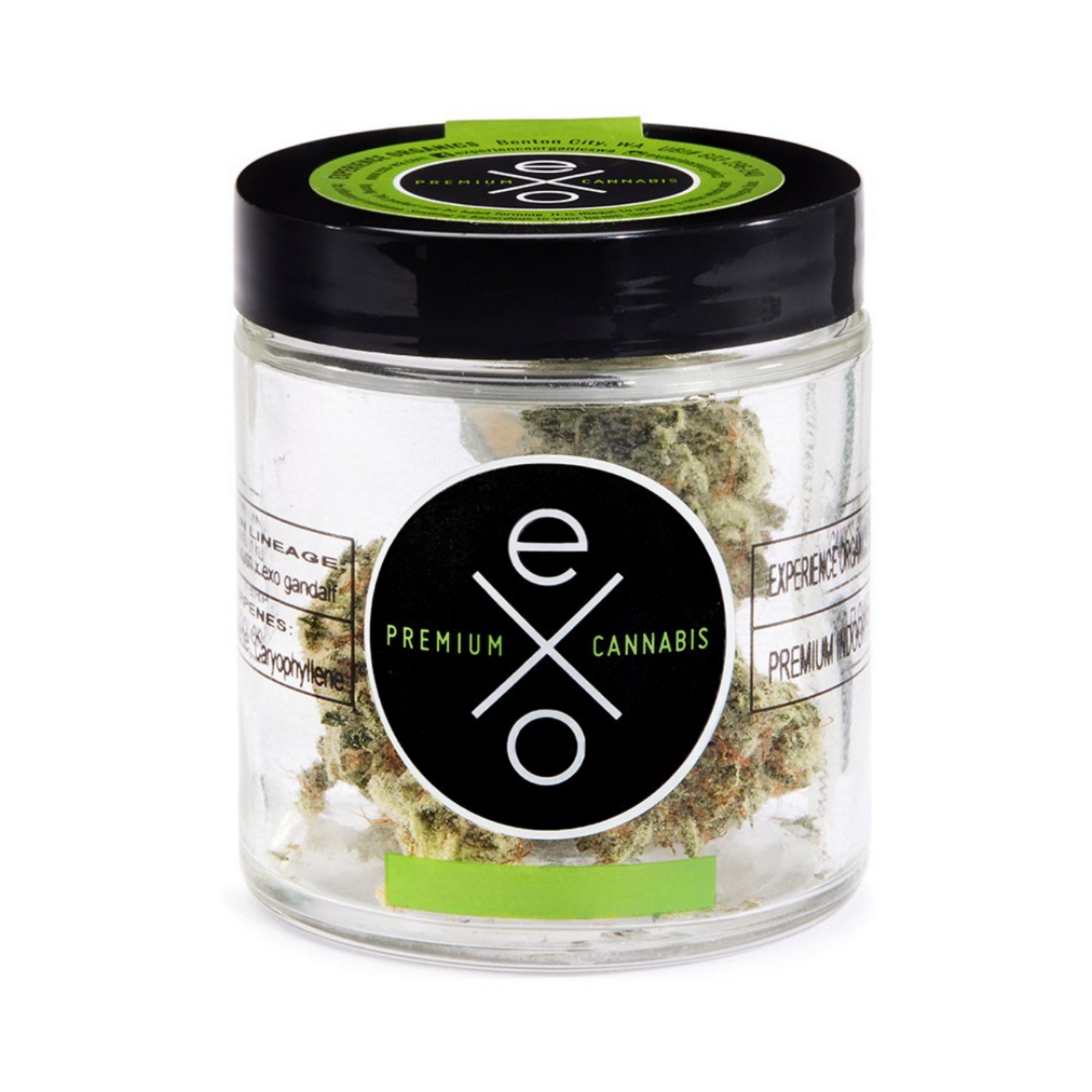 Experience Organics Cheddar Cheeze 3.5g (I) EXO - Uncle Ike's