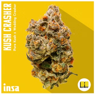 Huckleberry Haze (H) 7g Infused Pre-Ground | Offbrand - Caroline's