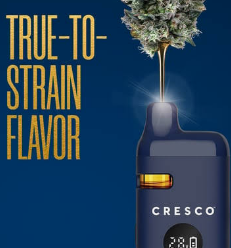 cresco disposable vape how to use The 4th Kind (I) 1g I disposable vapes wholesale Flavour:Just Punch VAPE OUTLET - Reviews,