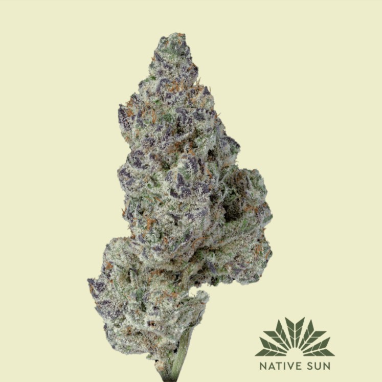 Native Sun Cannabis Native Sun Cannabis - Oreoz - 3.5 g