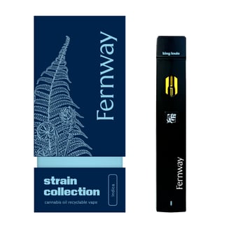 how much is elf bar vape A Beginner's Guide to THC Vape Pens