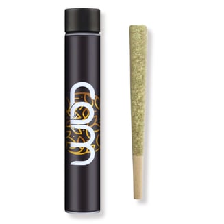 Buy CAM Brand Products Online