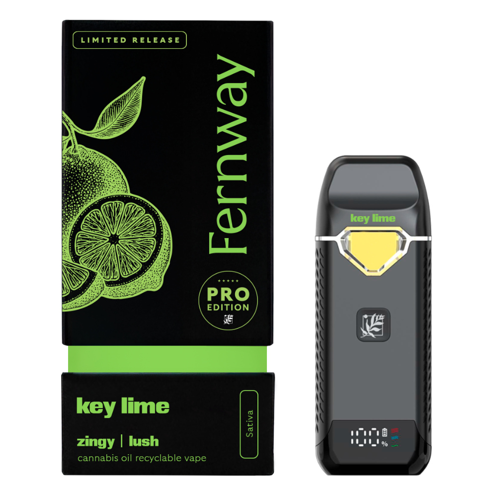 fernway disposable vape charger Key Lime | Travler PRO AIO | 2g Top20% Strength:18mg BALANCED (1.9ml) friobar mx 10000 puffs
