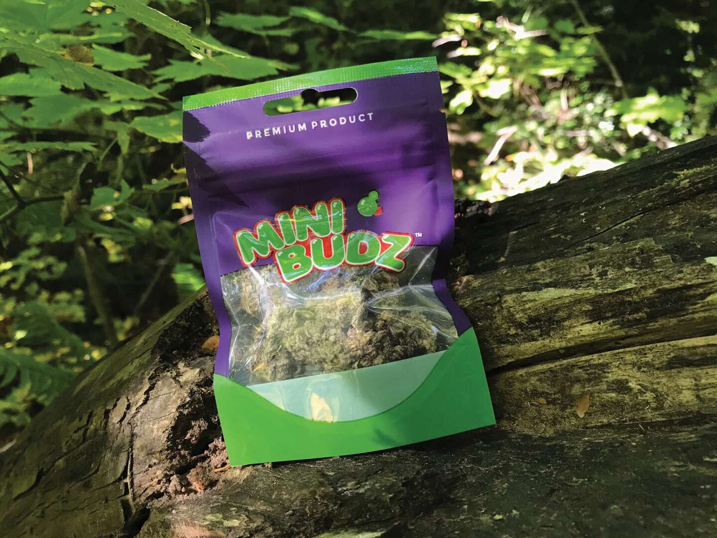 Momma Chan Crazy 88 - 8g - Momma Chan - Floyd's Cannabis