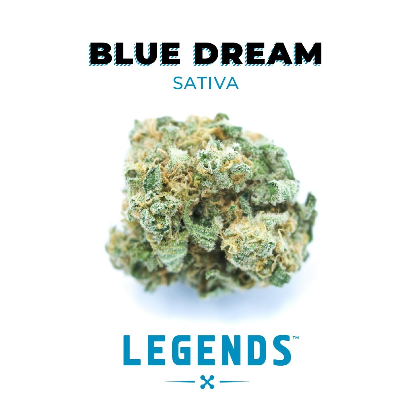 Legends Blue Dream - Santa Cruz - 7g - Legends - Floyd's Cannabis