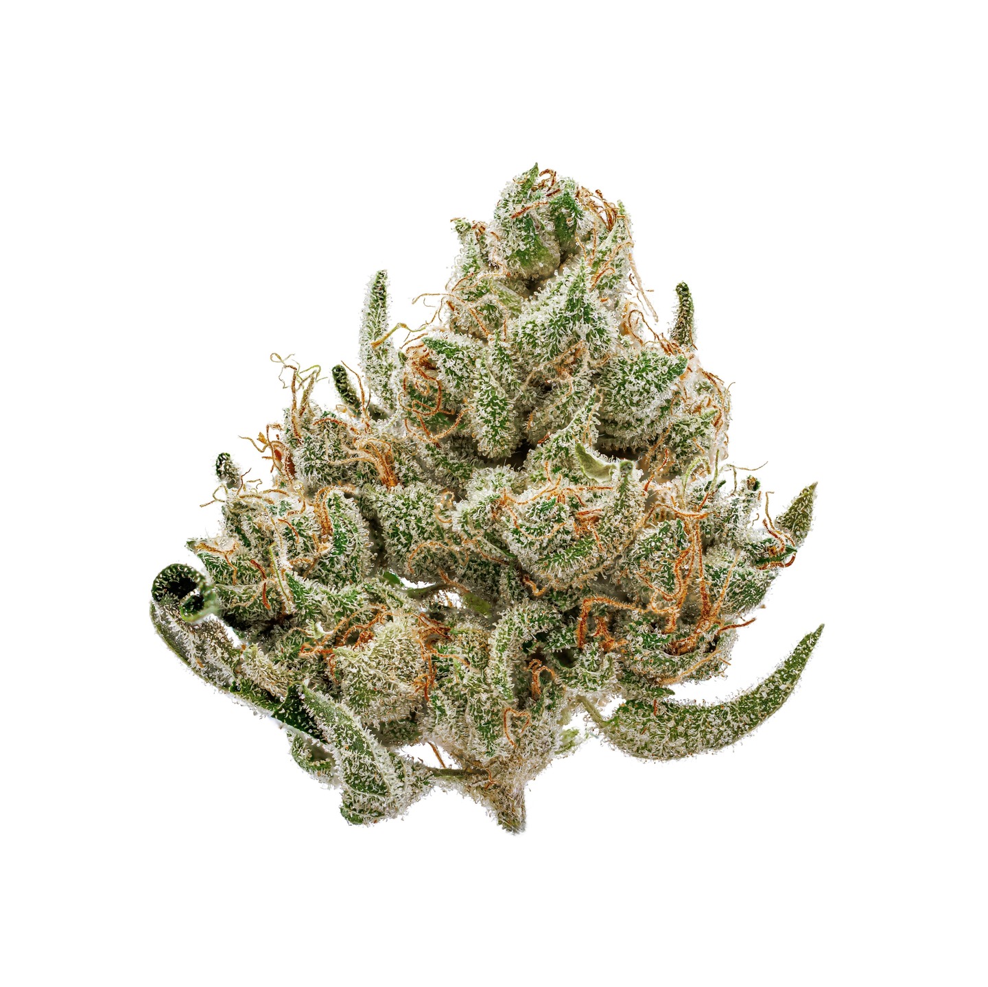 Momma Chan Crazy 88 - 8g - Momma Chan - Floyd's Cannabis