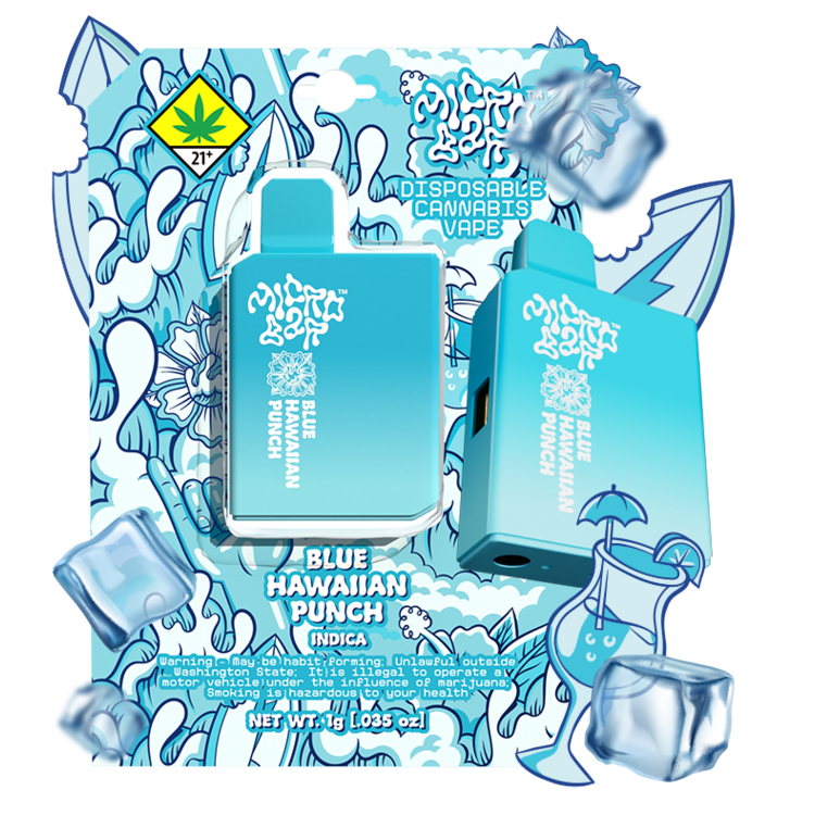 crave vape flavors Blueberry Ice CRAVE MAX Disposable Vape 2500 Puff