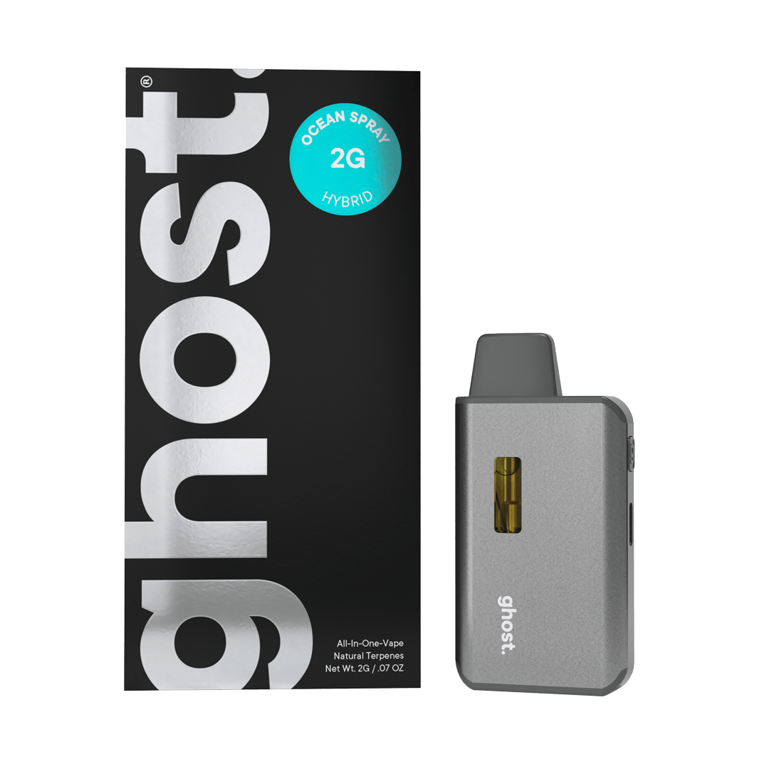 Bucephalandra sp.Ghost Kalimantan本物2株セット Bucephalandra sp.Ghost kalimantan