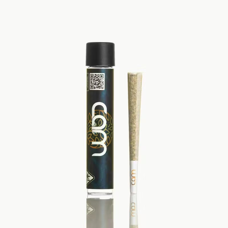 Buy CAM Products Online - Frass Box Cannabis Dispensary in Bronx, NY