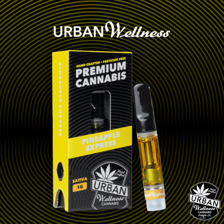 【ビジュアル系】【インディーズ】cannabis デモテープ、CDセット ビジュアル系】【インディーズ】cannabis デモテープ、CDセット Yahoo