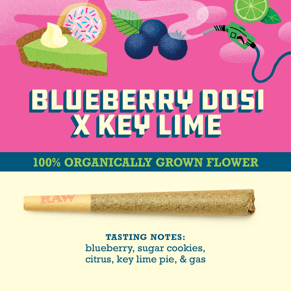 Paper Crane Cannabis Blueberry Dosi x Key Lime | 1G | Paper Crane