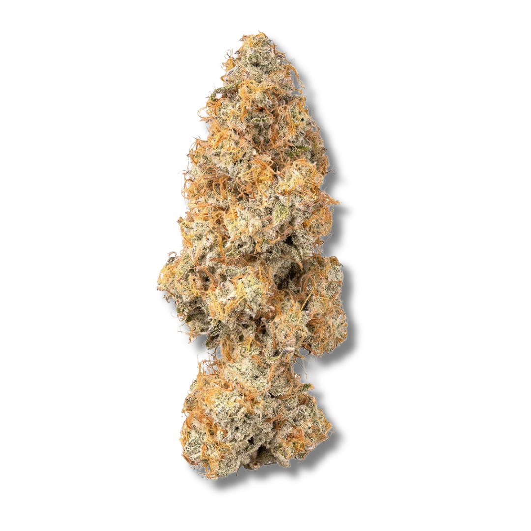 Bostica Scotch & Soda | 3.5g | Bostica - Dazed Cannabis Dispensary