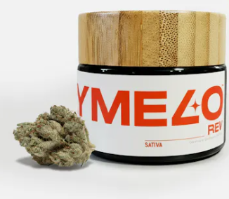 STAY MELO Melo Morning - 3.5g - Stay Melo - Dazed Cannabis