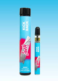 Savvy Kickback Fresh Berry | AIO | Savvy | 0.3g