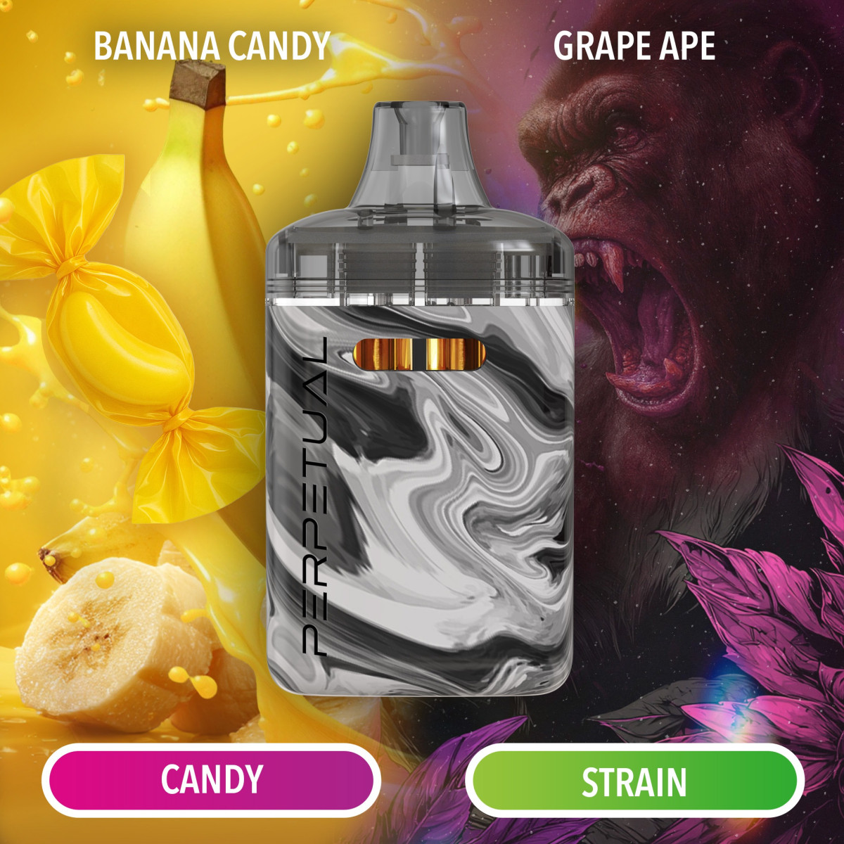 Buy Perpetual Products Online - The Boston Garden Cannabis Dispensary near me in Athol and Cambridge, MA Buy Perpetual Products Online - The Boston Garden Cannabis Dispensary near me in Athol and Cambridge, MA