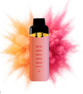 Charge Bar Mango Ice X Fruit Fusion | Dual Chamber Disposable Vape | 2g -  The Boston Garden Cannabis Dispensary in Athol and Cambridge, MA