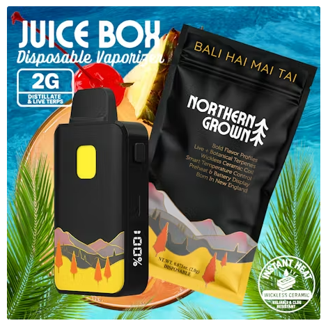 how much is elf bar vape Space Gods Easy Stick Disposable | 2g