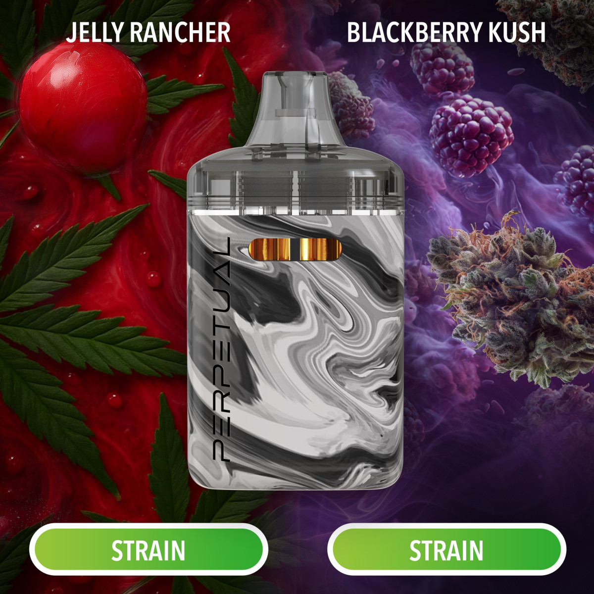 2 For 90 2g Disposable Vapes! - The Boston Garden Cannabis Dispensary near  me in Athol and Cambridge, MA