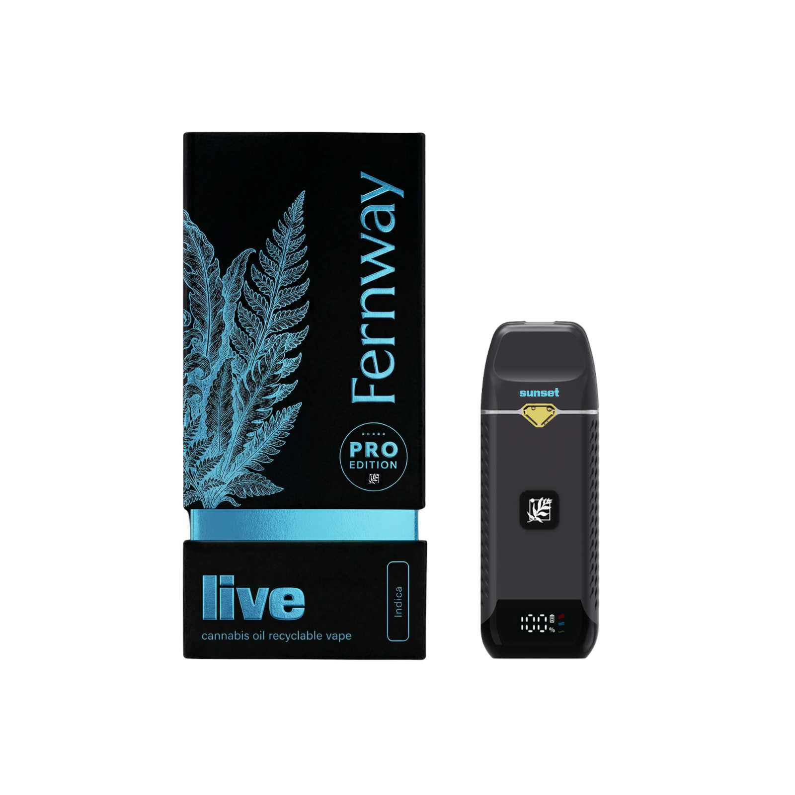 fernway disposable vape instructions Buy Products Online VooPoo Drag S2 Kit E-Cigarettes: A Local Doctor Color:Vital Orange