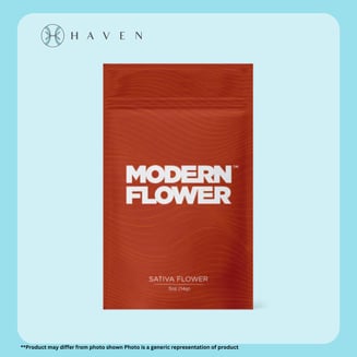 Modern Flower - Haven Modern Flower - Haven