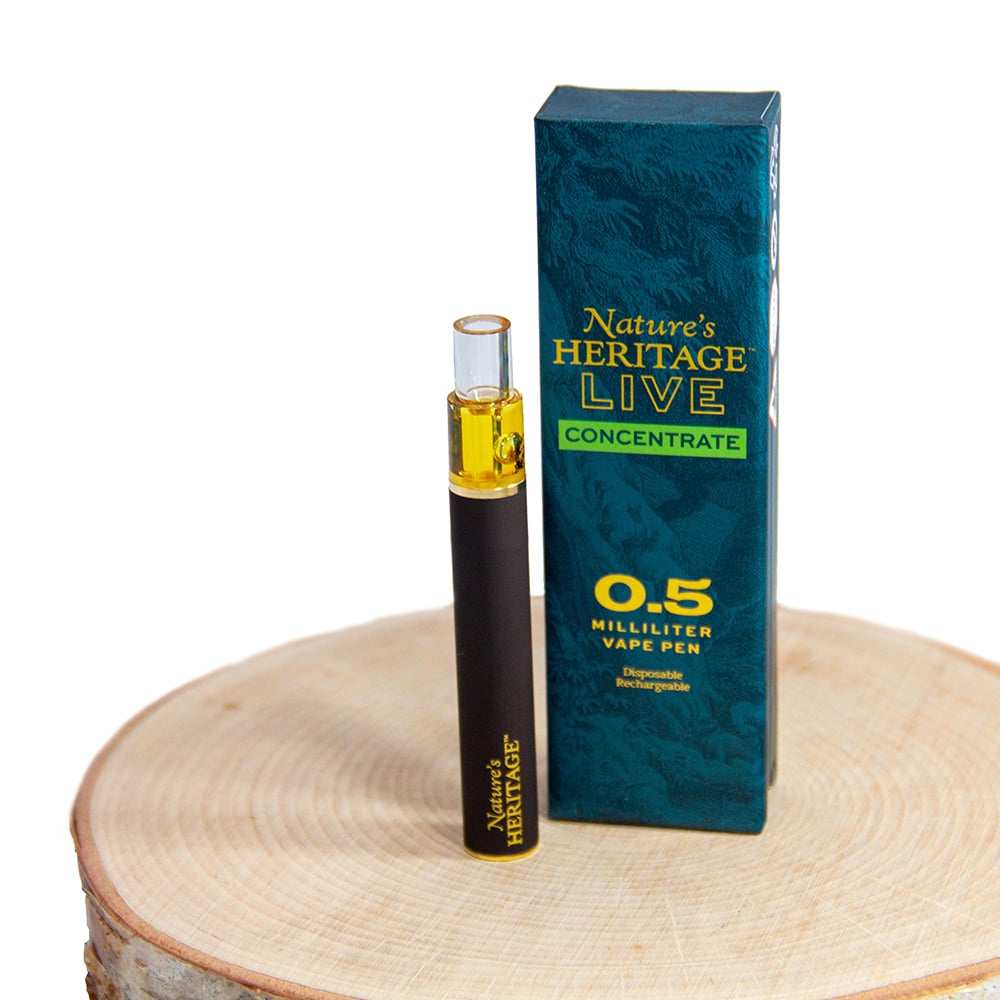 festival disposable vape Best Vapes for Festivals