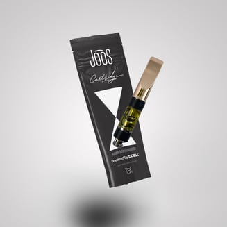 terra vape pen Buy Vaporizers for Weed, Herbs, and Concentrates | RQS main image 1