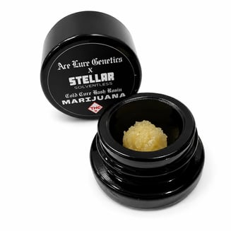 Blue Calypso by Stellar Solventless