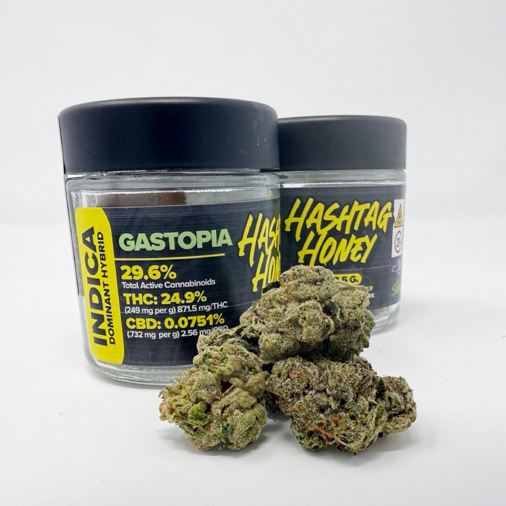 GAHGA 「GAHTOPIA」HIJI Hashtag Honey Gastopia - FlynnStoned Cannabis Company Dispensary in NY