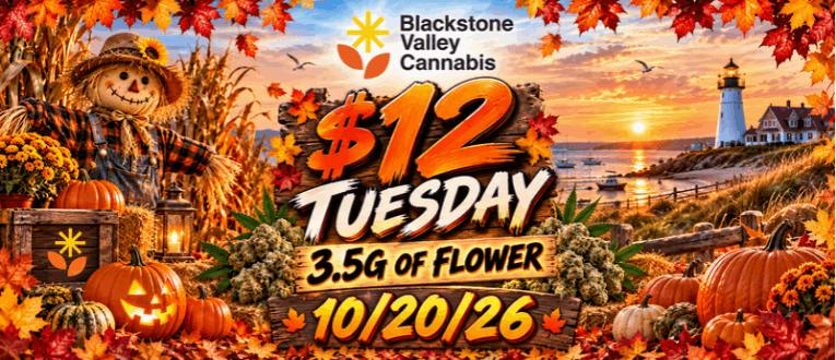 $12 Tuesday!!