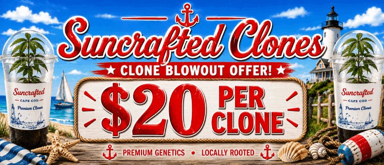 Suncrafted Clones | $20 per Clone
