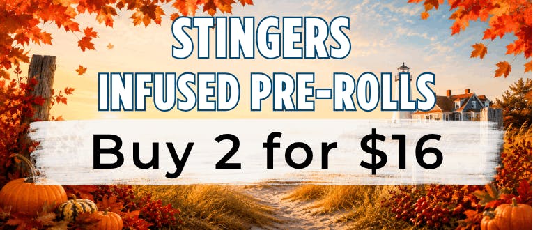 Labor Day Bundle | Stingers | 1g Infused | 2 for $16