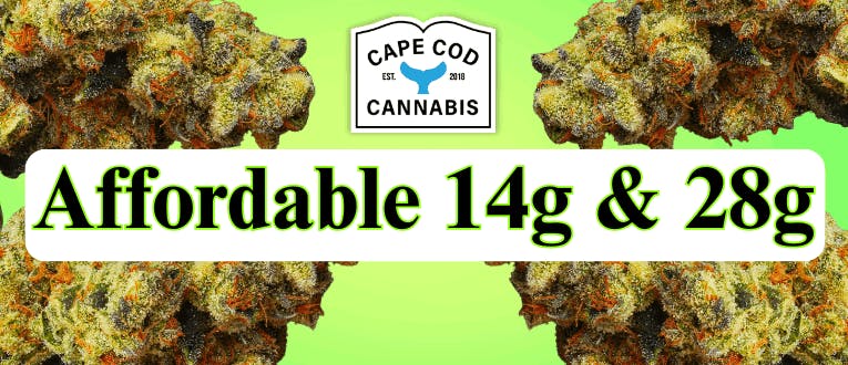 Affordable Ounces & 1/2 Ounces