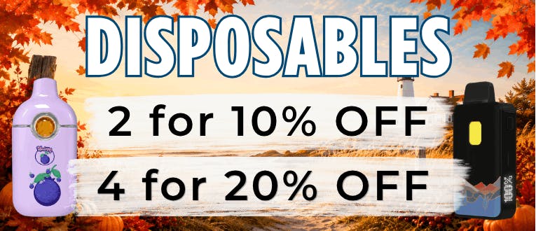 Disposables | 2 for 10% Off | 4 for 20% Off