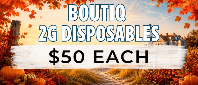 Boutiq | 2g Trio Disposables | $50 Each!