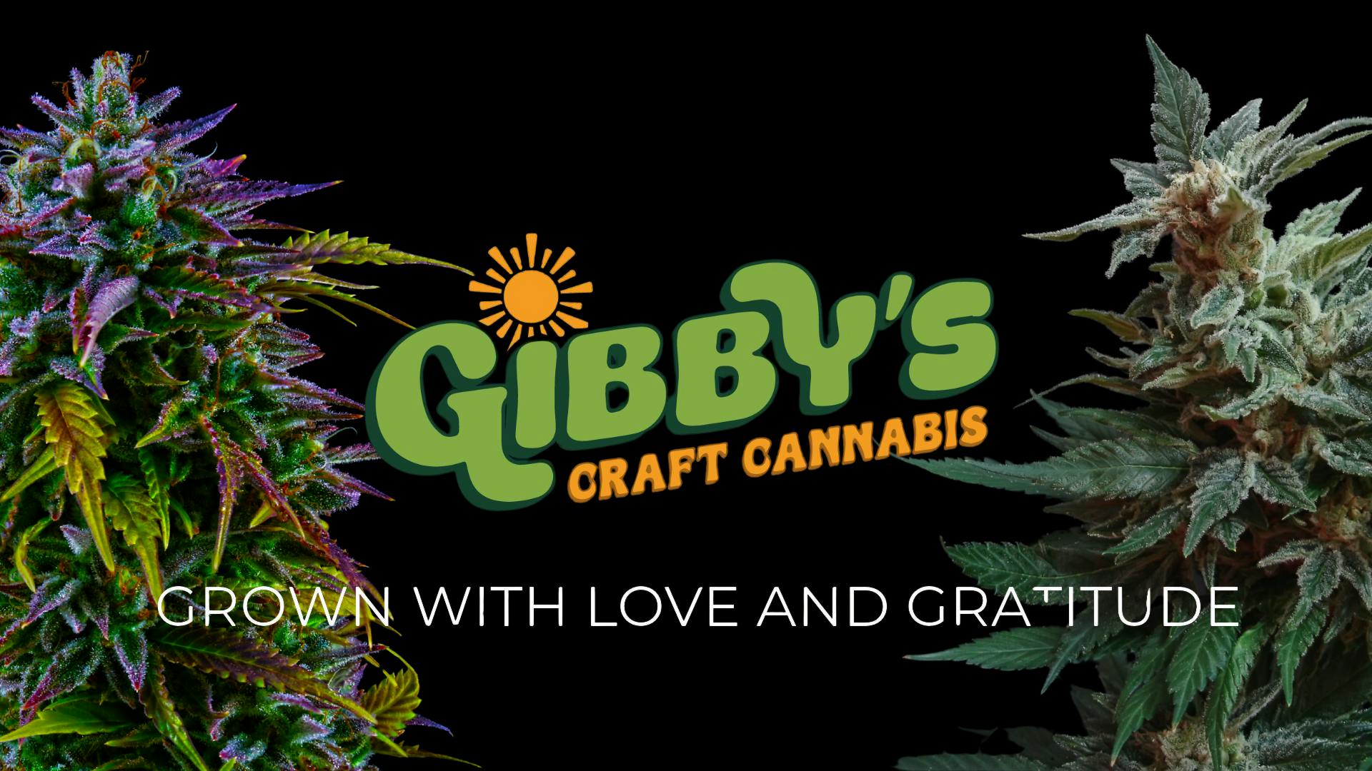 Gibby's 3.5G Flower-Buy One & Get One for $1!