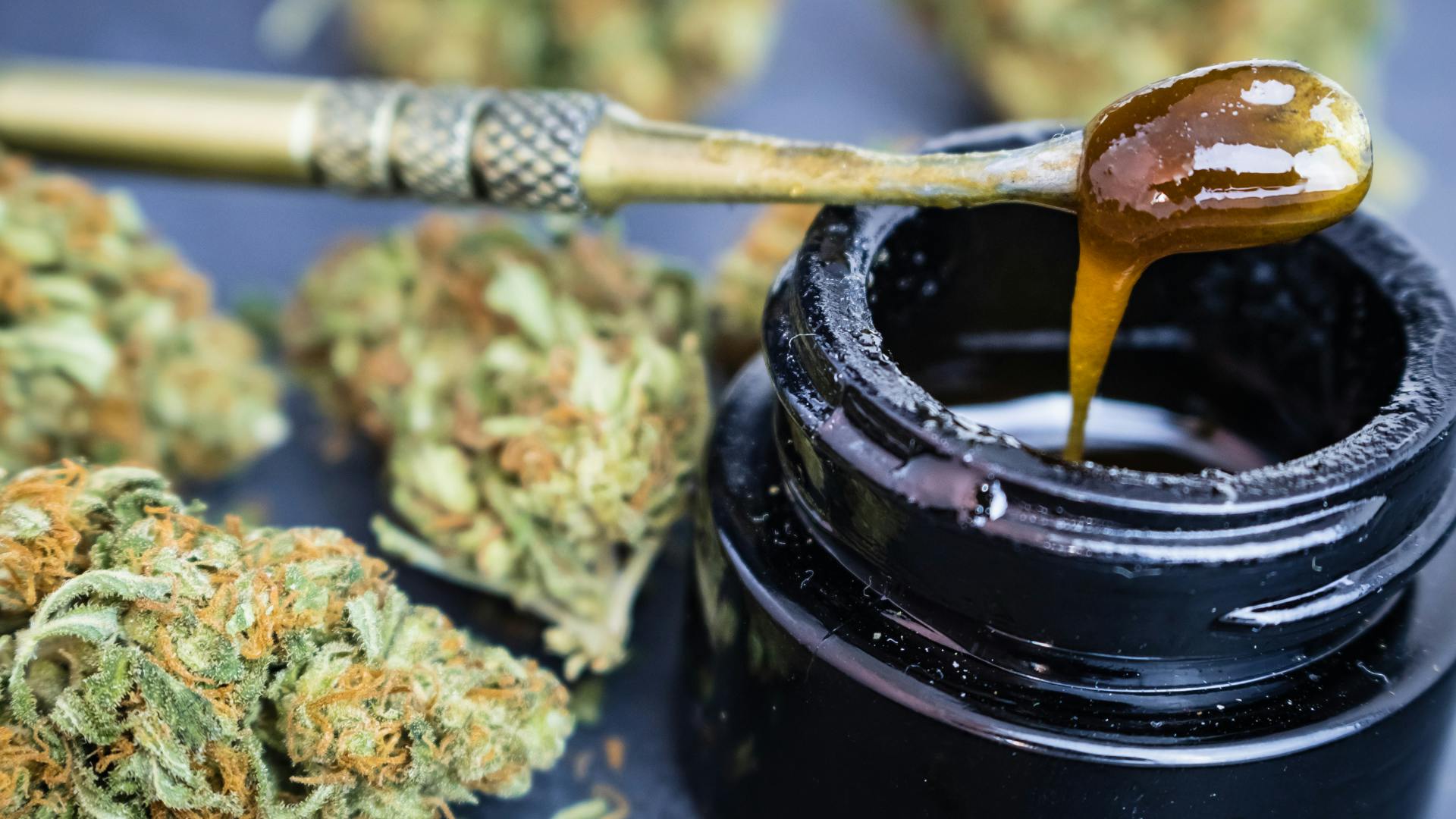 Concentrate Offers!