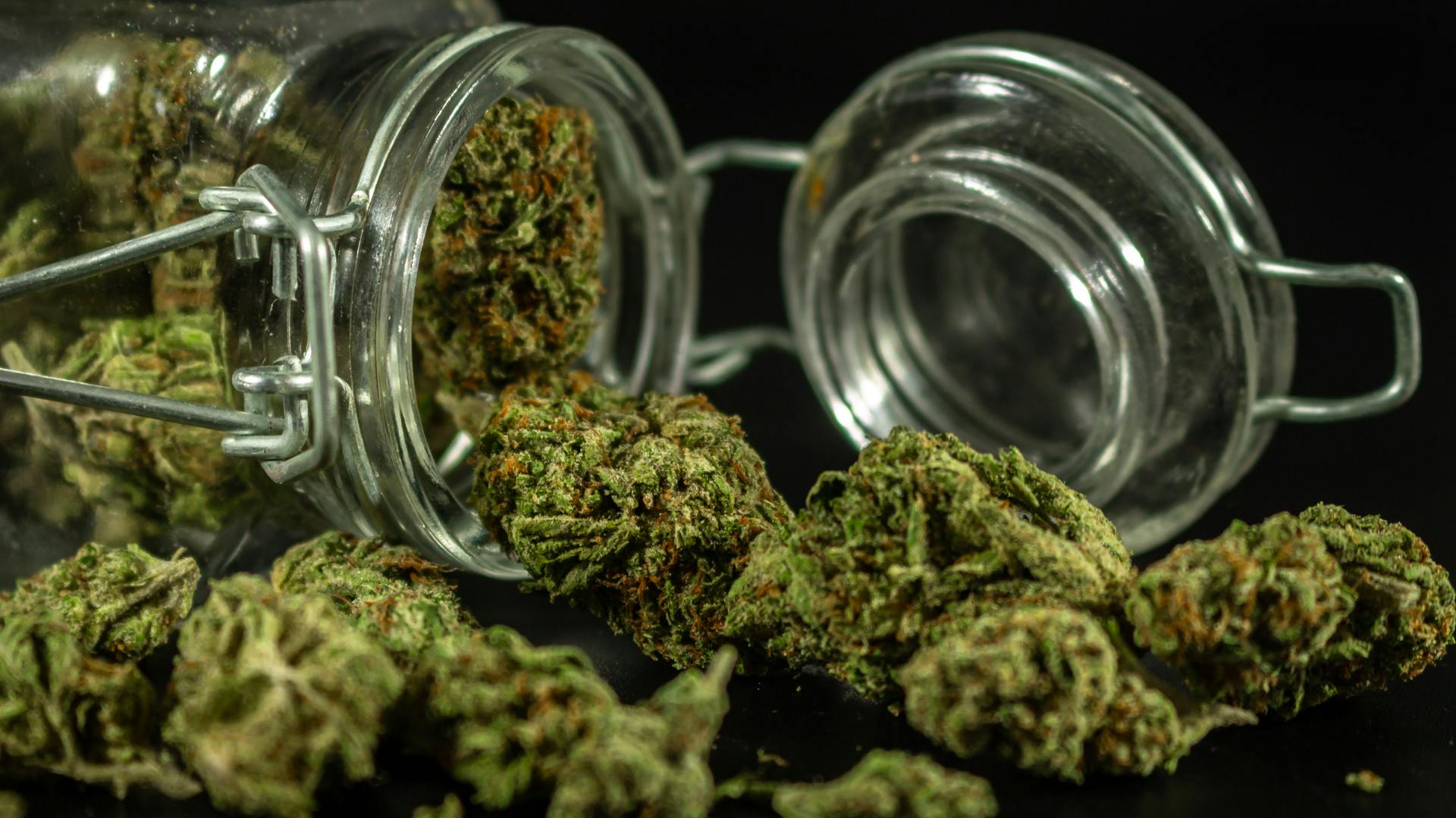 7G Flower-Buy 2 & Save $10!